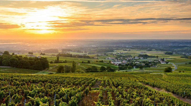 Tourisme vert dans le Beaujolais